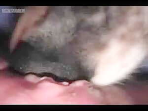 Thumb 1
