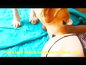 latin teaser 2