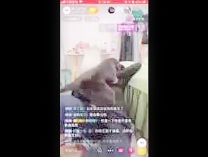 Chinese Fucking Dog