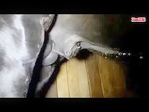Stallion sniffed a wet horny pussy in the stable