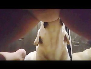 Licking_3