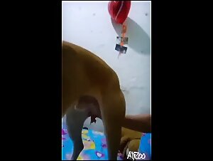 Curious teen suck & masturbate doggy part 8