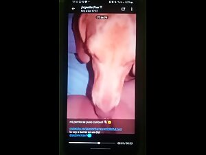 jaspincita and her dog