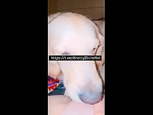 Ameture Egirl Uses Family Dog