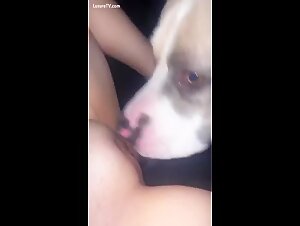 Perfect bald pussy