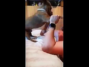Woman made blowjob to little dog