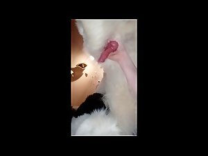 Landseer handjob