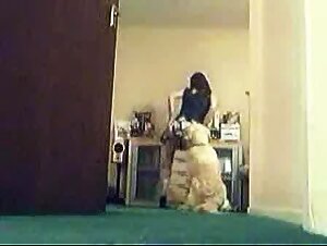 Girl Dancing and Teasing her Dog