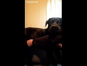 Dog dick addicted old women