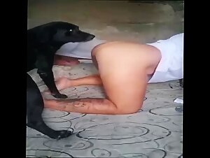 brasileira tentando engatar com Dog Preto