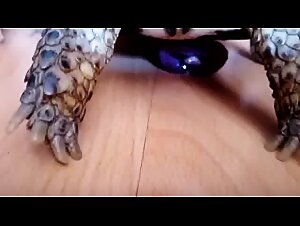 Tortuga masturbándose y corriéndose / turtle masturbating and cumming