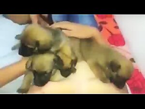 Woman breastfeeding big puppy