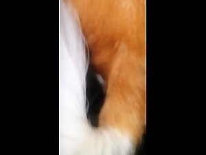 Thumb 8