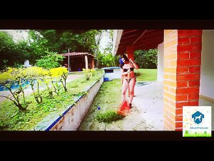 ALISONPROD - HONOR AMIDST LEAVES