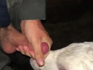 Thumb 10
