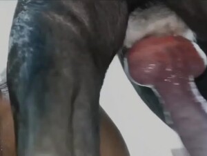 Thumb 10