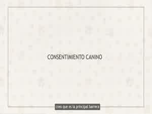 EduZoo - Zofilia moralmente permisible - explicacion