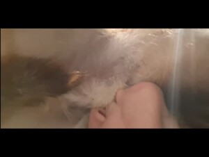 Thumb 10