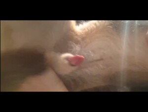 Thumb 8