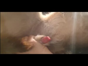 Thumb 9