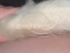 Thumb 7