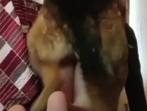 Thumb 10