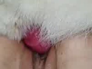 Thumb 6