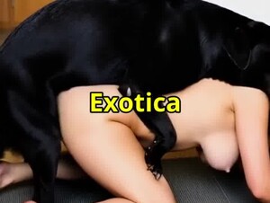 DreamFlowMachine - Exotica