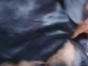 Thumb 6