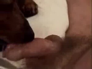 Thumb 6