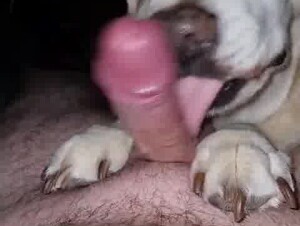 Thumb 4