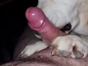 Thumb 9