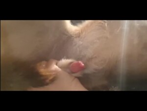 Thumb 9
