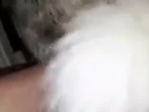 Thumb 8