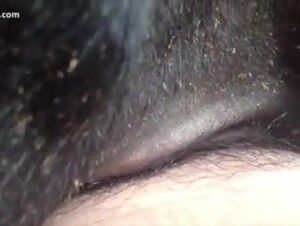 Thumb 7