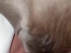 Thumb 7