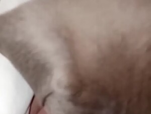 Thumb 8
