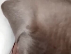 Thumb 9