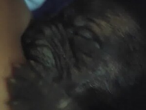 Thumb 7