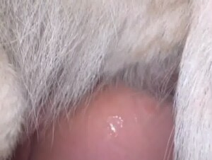 Thumb 7