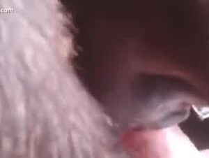 Thumb 6