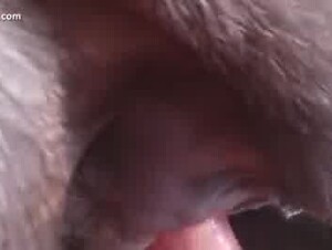 Thumb 7