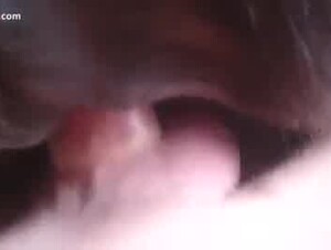 Thumb 9