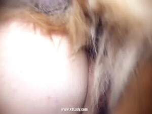 Thumb 6