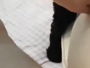 Thumb 9