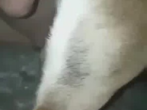 Thumb 6