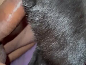 Thumb 8