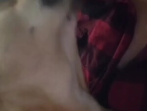 Thumb 8
