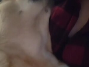 Thumb 9