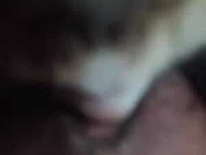 Thumb 6